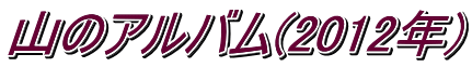 R̃Ao(2012N)
